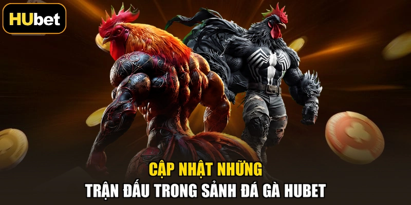 Cập nhật những trận đấu trong sảnh đá gà HUBET