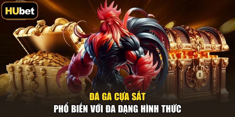 Đá gà cựa sắt phổ biến với đa dạng hình thức