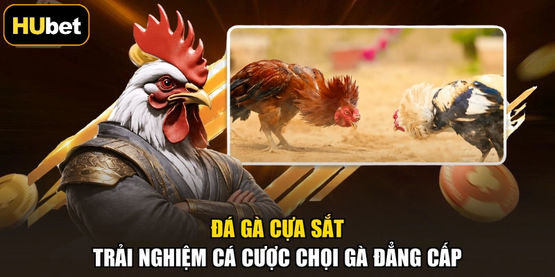 Đá Gà Cựa Sắt - Trải Nghiệm Cá Cược Chọi Gà Đẳng Cấp