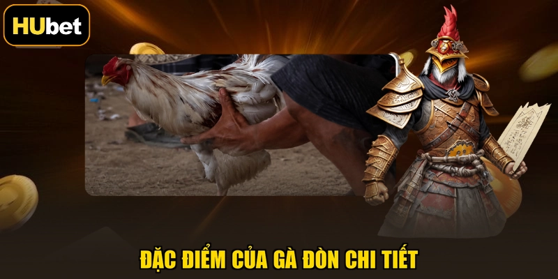 Đặc điểm của gà đòn chi tiết