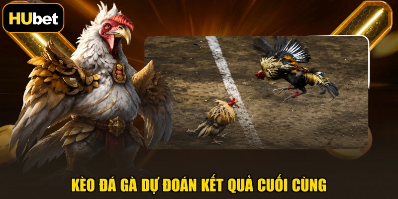 Kèo đá gà dự đoán kết quả cuối cùng