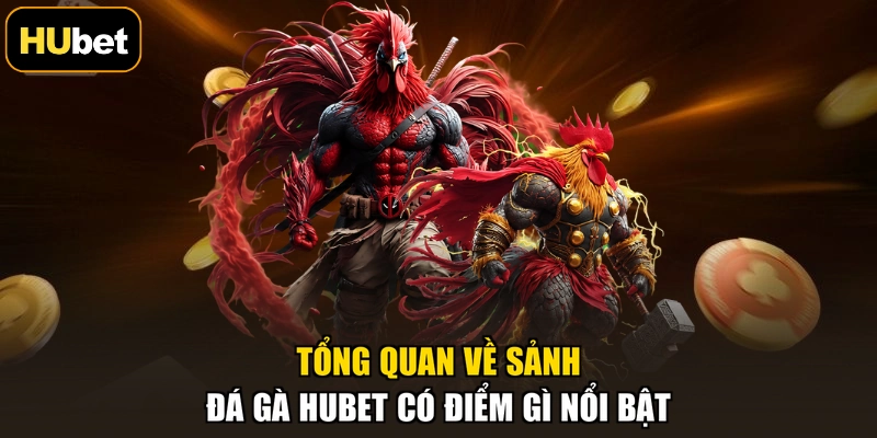 Tổng quan về sảnh đá gà HUBET có điểm gì nổi bật